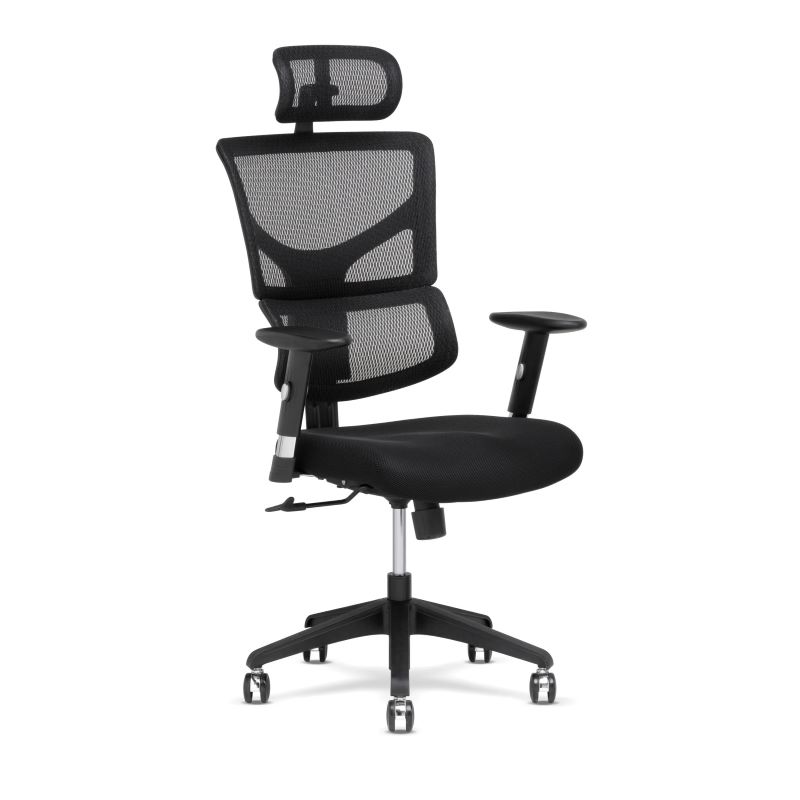 XBasic DVL Task Chair (Xchair) Office Design Concepts